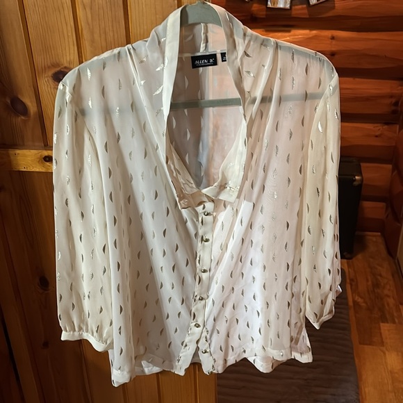 NWT Allen B Sheer Blouse - Picture 4 of 5